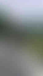 Andy and Jitu on road