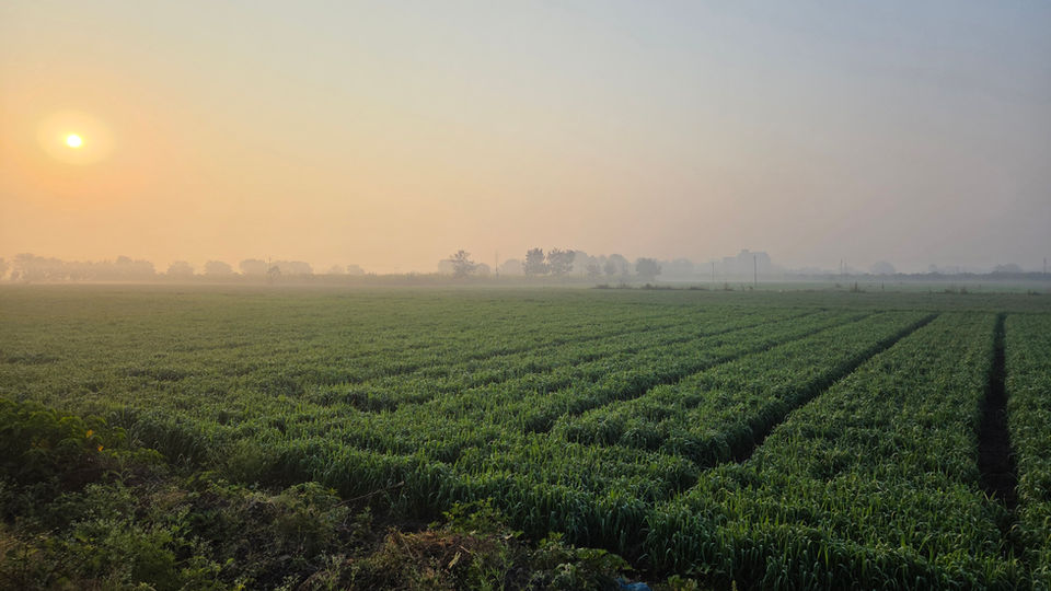 Farm_2