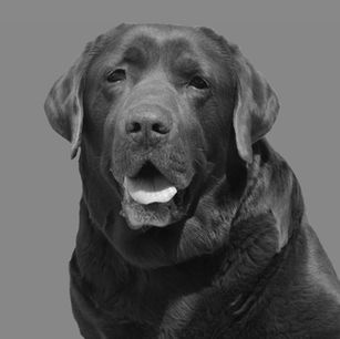 To nejtěžší sbohem