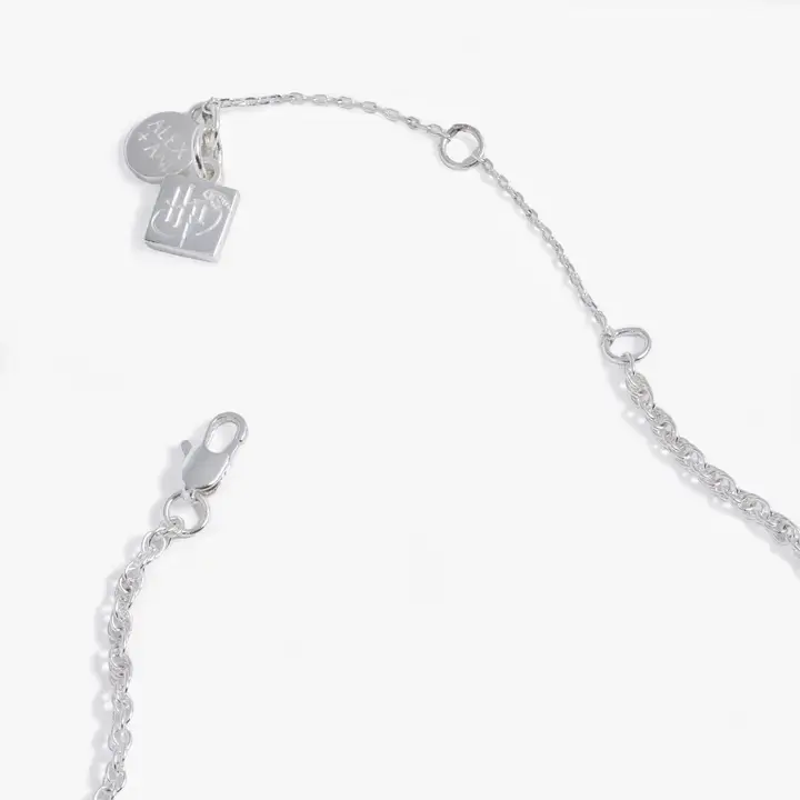 Thumbnail: Harry Potter™ 'the Ones That Love Us' Locket Necklace