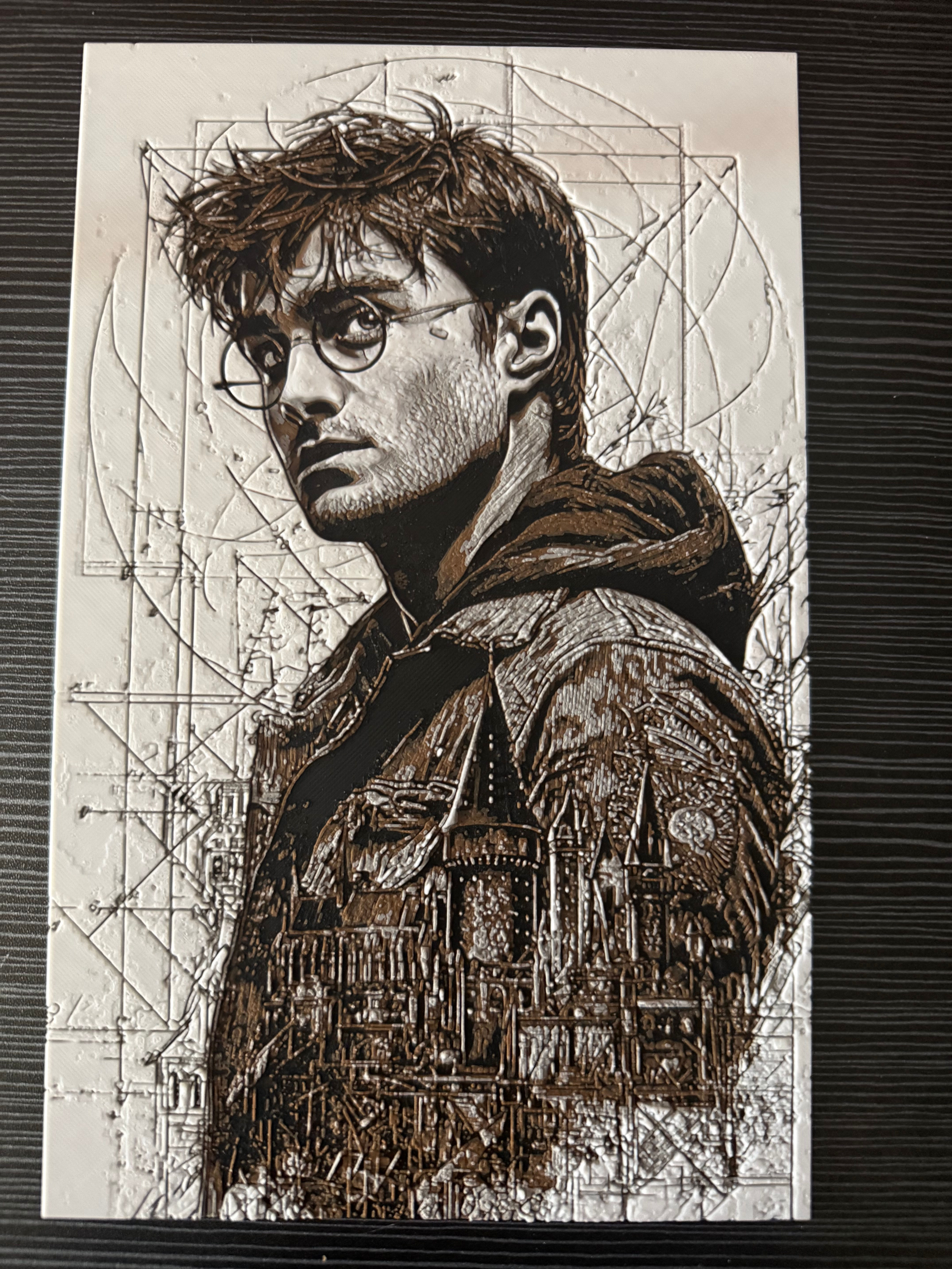 Harry Potter inspired Hueforge Printed Pictures 