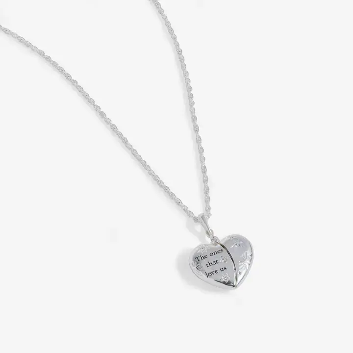 Thumbnail: Harry Potter™ 'the Ones That Love Us' Locket Necklace