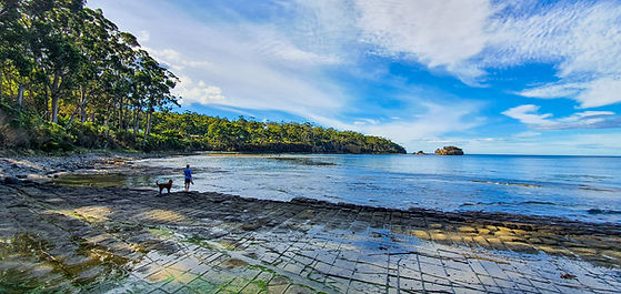 Shared-from-Lightroom-mobile-5.jpg