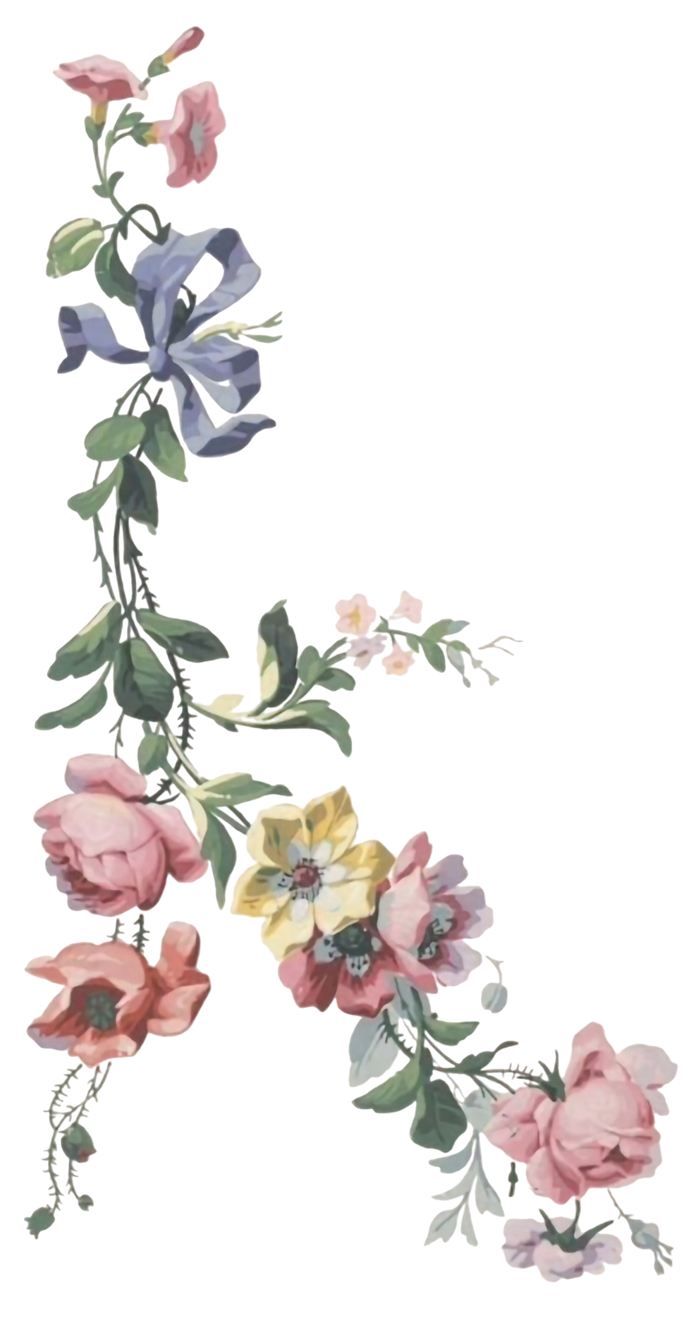 FLowers_edited.jpg