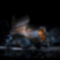 Cam 6 v1.0 - Graded.jpg