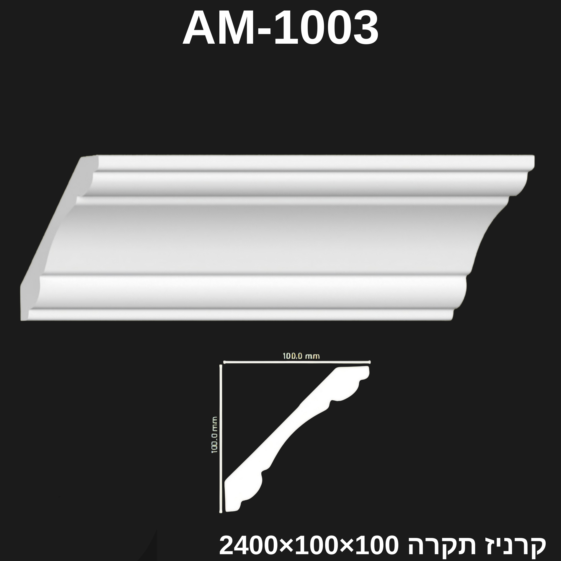 קרניז תקרה AM - 1003