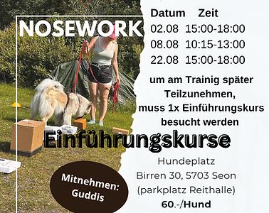 Nosework Einführung kurs.PNG