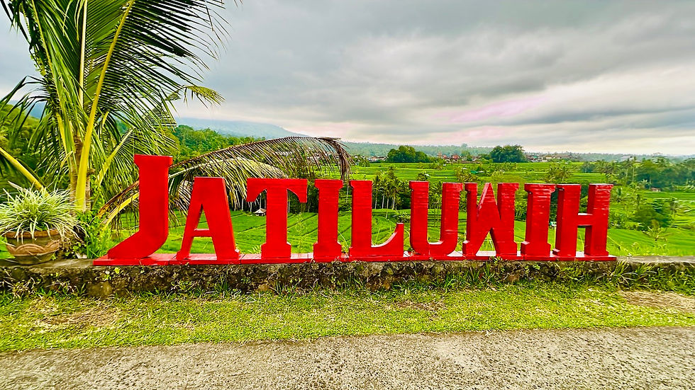 Jatiluwih Rice Terraces
sign