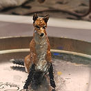 Treegirl pinecone red fox