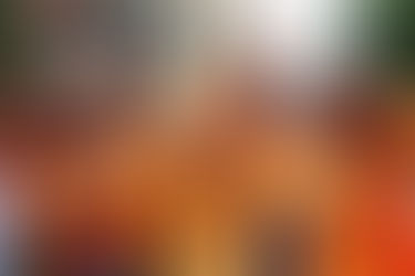 EN LA REPÚBLICA DE LA INDIA DECIDIERON LOS JÓVENES