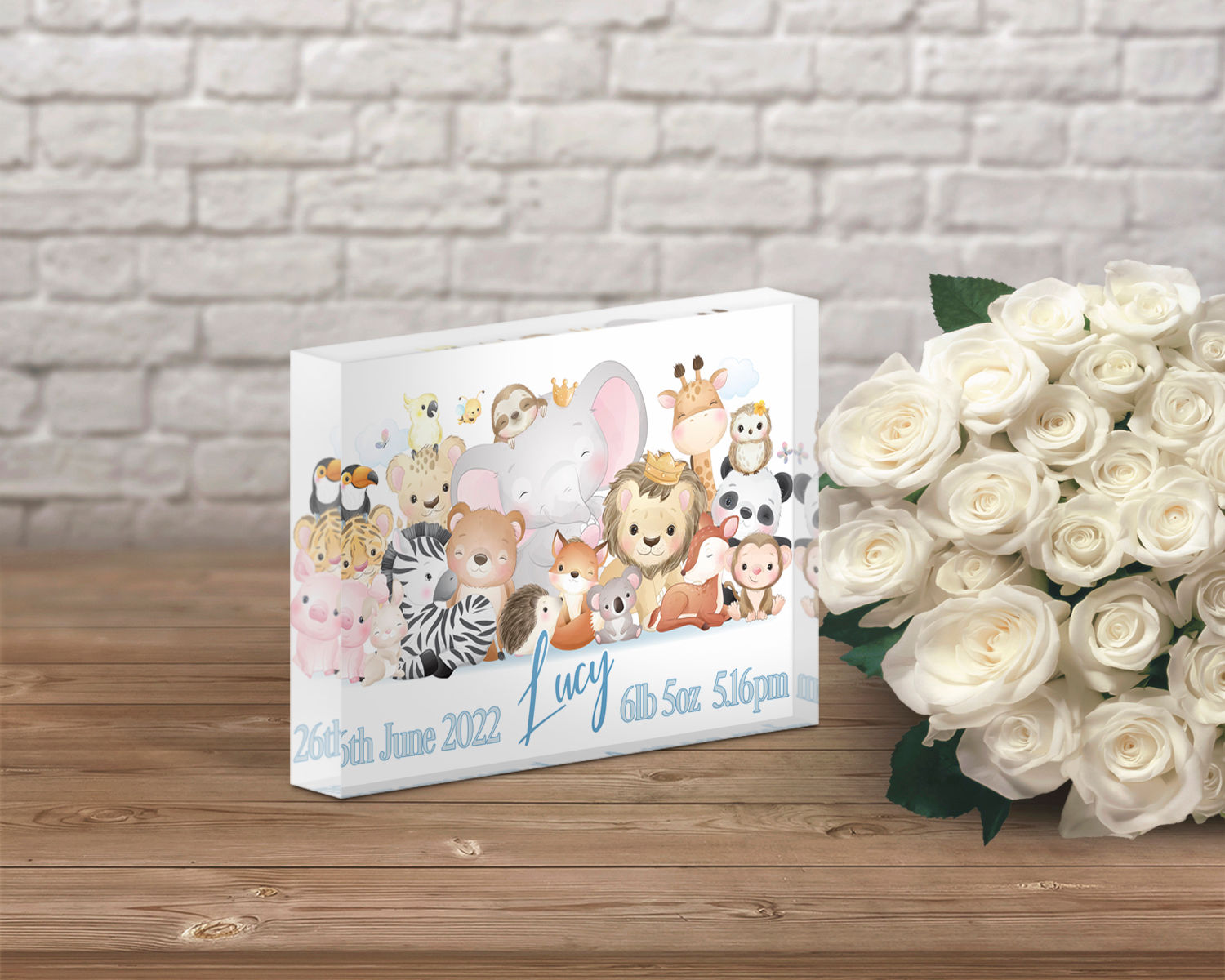 Cute Animals Baby Birth Photo Block