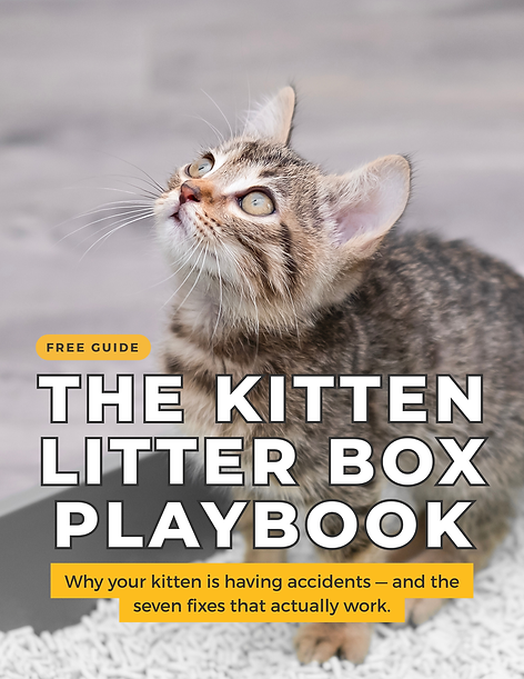 Kitten_Litter-Box_Playbook.png