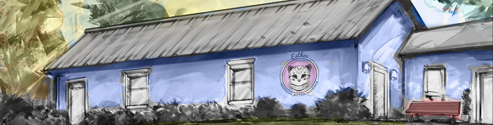 drawing of adoption center