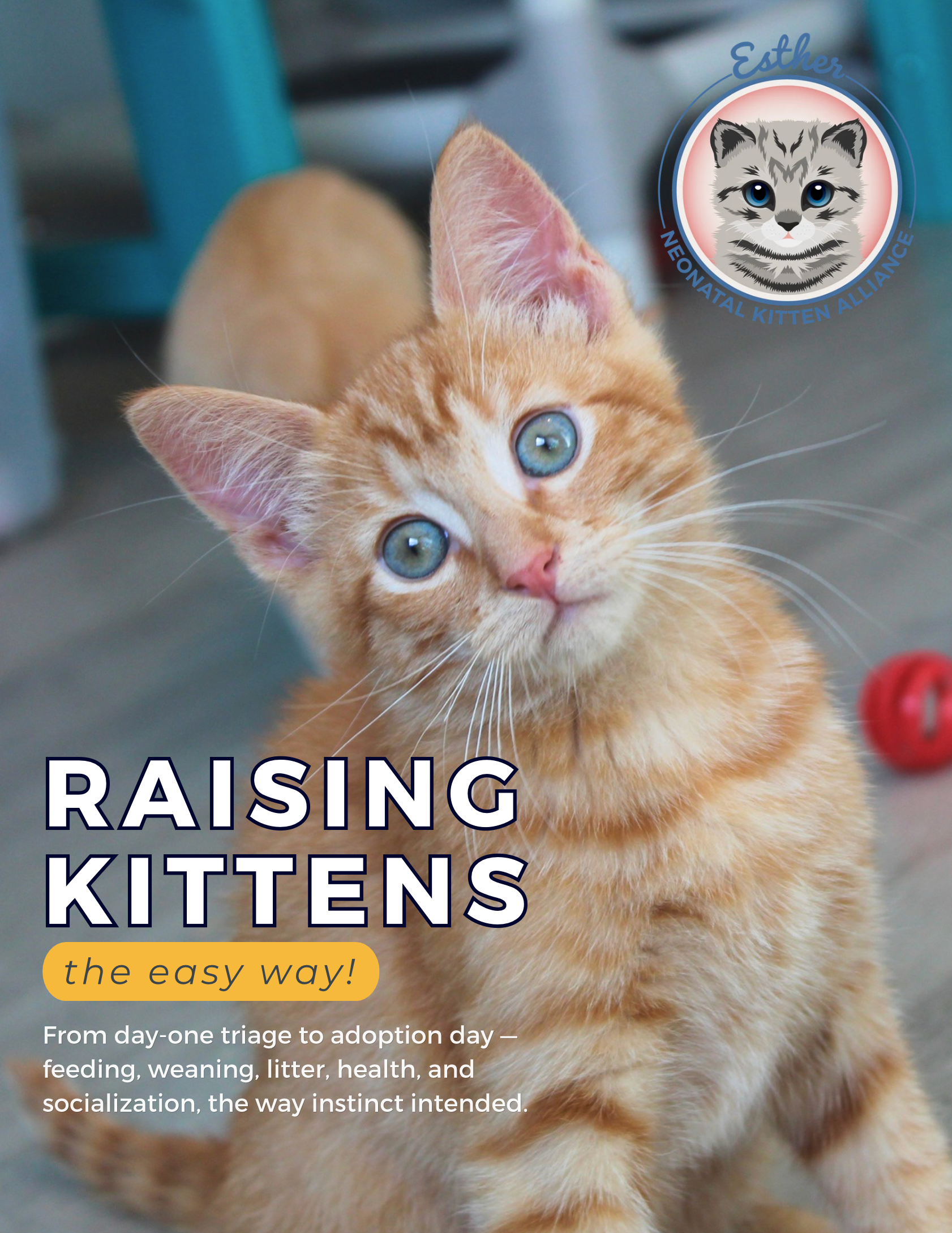 Raising Kittens the Easy Way (e-book)