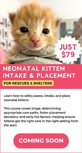 Course listing template-12.png