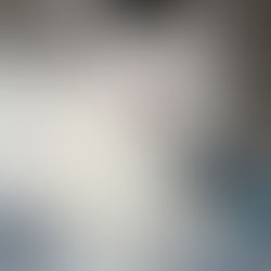 Fostering Kittens 101: What to Expect Your First Time