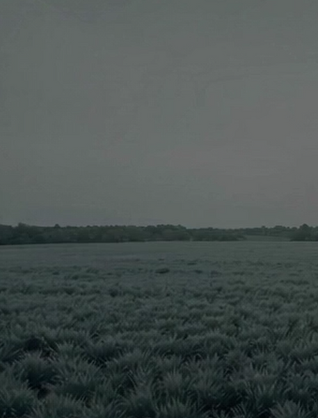 un paysage sombre et figé