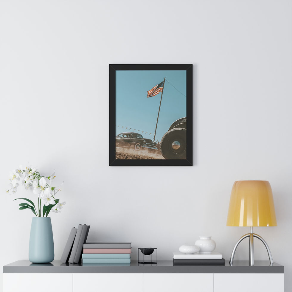 Thumbnail: RED WHITE & BRUISED | Framed Poster