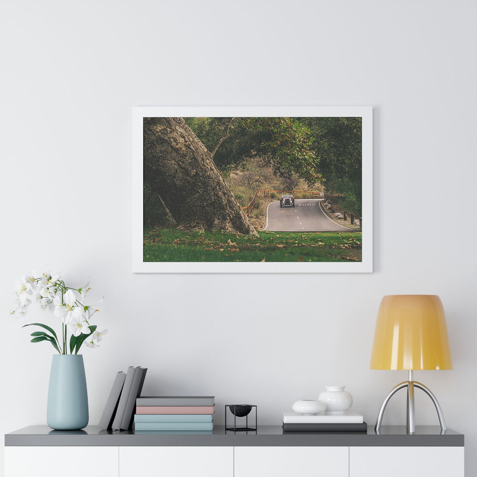 Thumbnail: EARLY ARRIVAL | Framed Poster