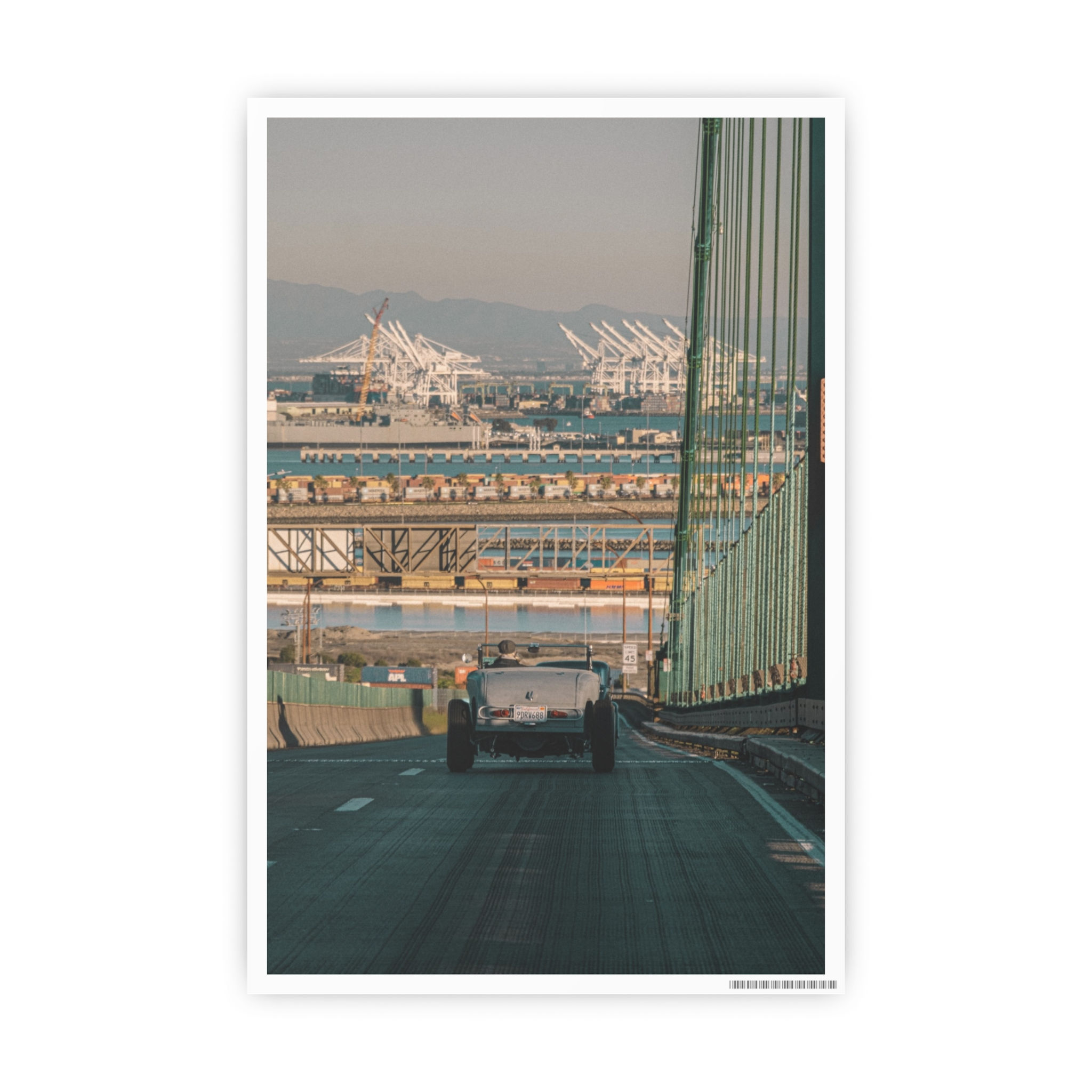 Unframed Limited Edition Print, multiple sizes - LONG BEACH WILDCARD