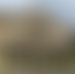 The Scaffolding is Going Up!