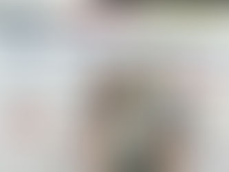 Starke Leistungen bei den Deutschen Seniorenmeisterschaften im Gerätturnen