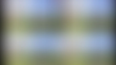 OWNING THE SWING PLANE