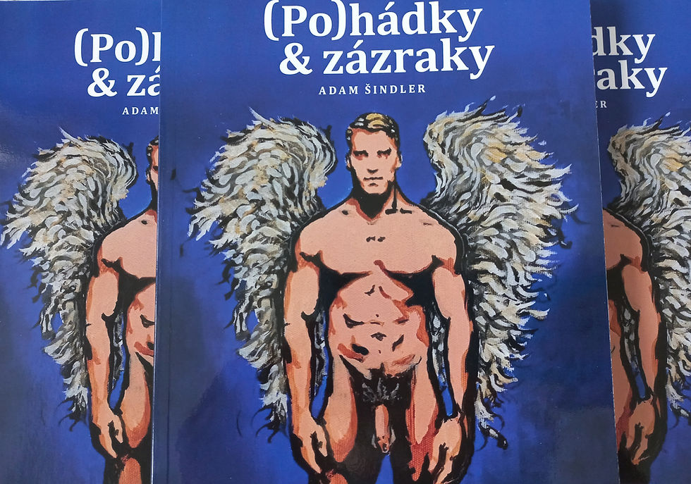 Obálka knihy gay povídek