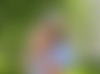 NIS Sverige har en ny stjärna – välkommen Amanda!