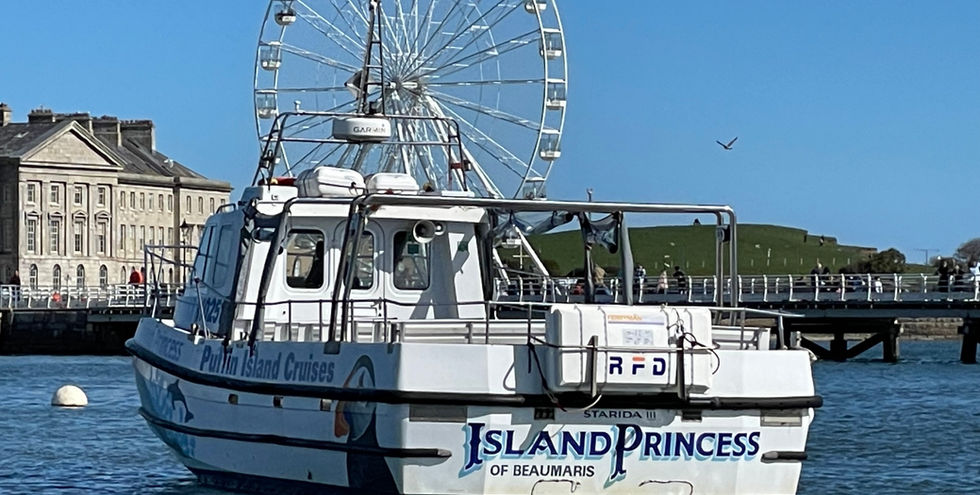 2023-04-07 11.03.46.jpg