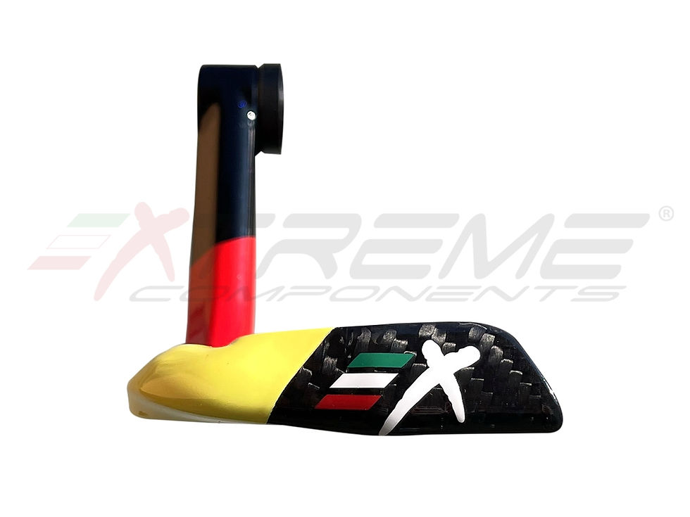Miniatura: Protector Maneta Freno "Alemania" Carbono GP EVO Extreme Componentes