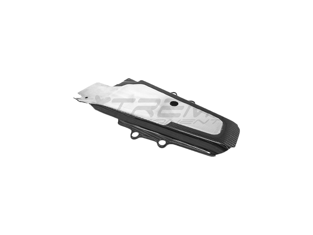 Tank-Hitzeschutz Carbon Exterme Components Ducati Panigale V4/S/R (18-21)
