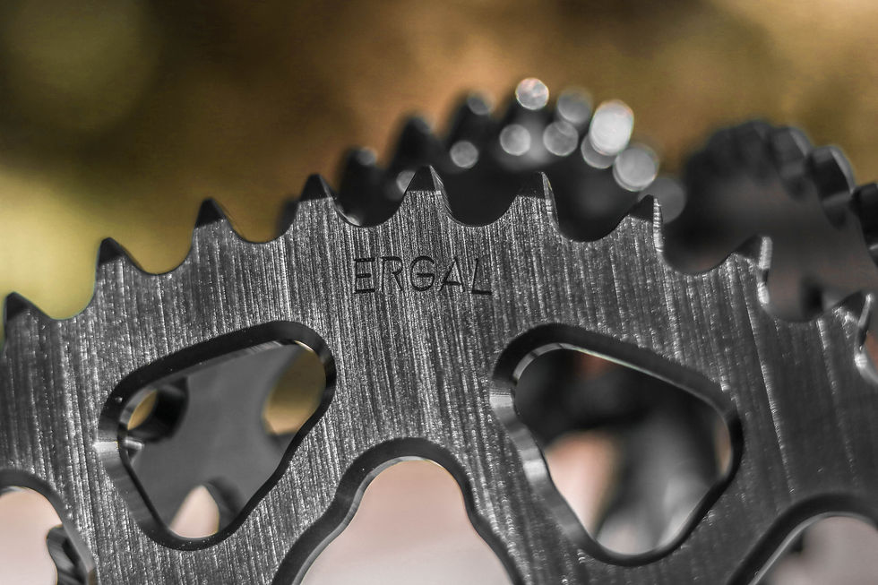 Thumbnail: Sitta sprocket for Honda CBR600RR PC37 and PC40 (201N)