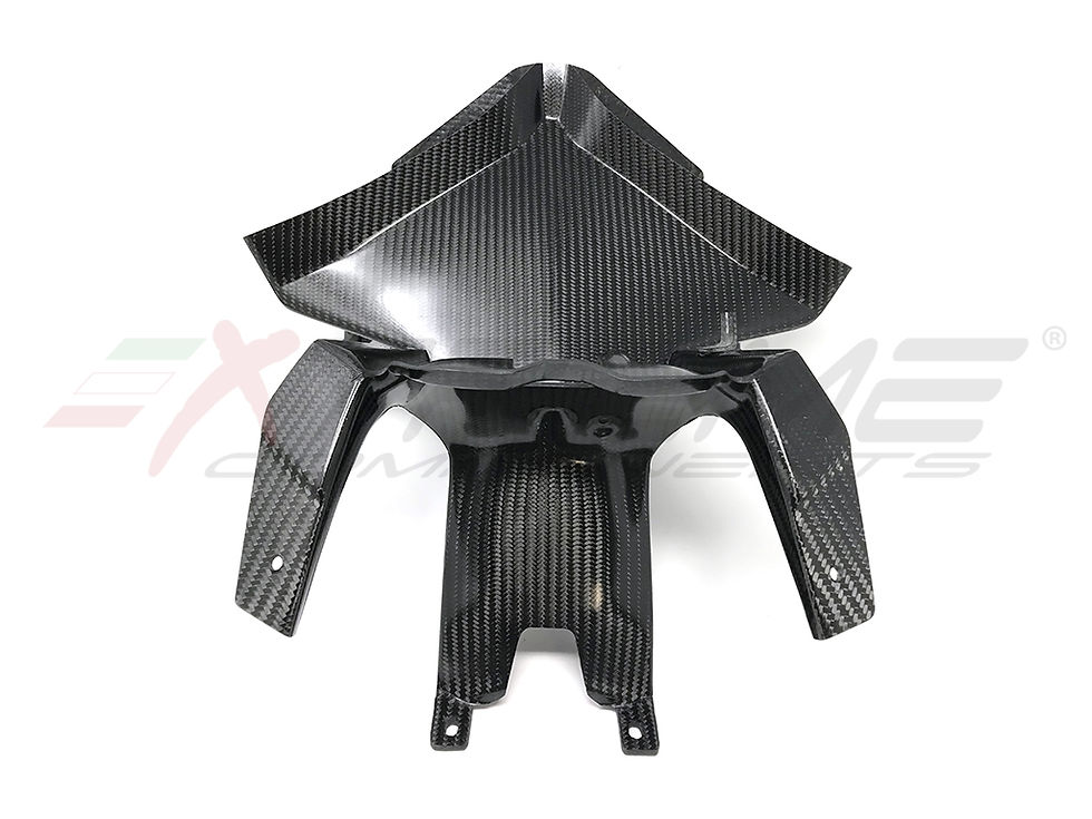 Miniature : Porte instrument carbone Ducati Panigale V4/S/R (18-21) Extreme Components