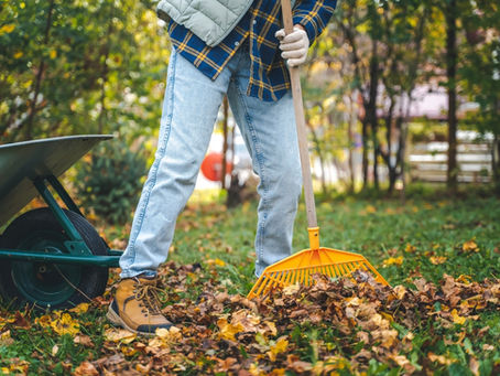 Fall Maintenance Checklist for Commercial Properties in Riverside & the Inland Empire