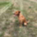 IMG_8434_edited.jpg