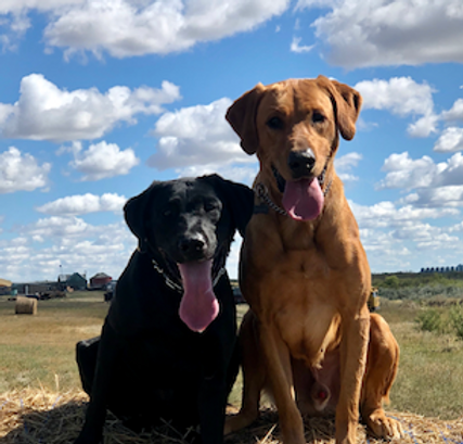 Screen Shot 2023-08-30 at 7.36.29 PM.png