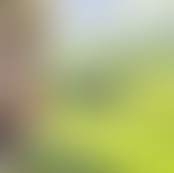 「對命運比中指」成功征服百尺火山岩,英國盲眼攀岩家創下紀錄