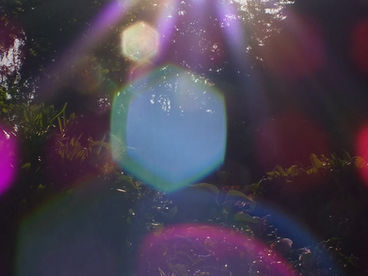 Hilfeschrei der Seele – Depression, Burnout und Co.