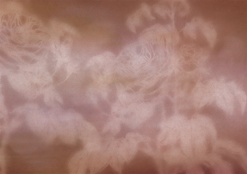 bauernrose_textur_hebaflow.png.png