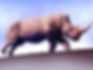 RUNNING WHITE RHINOCEROS