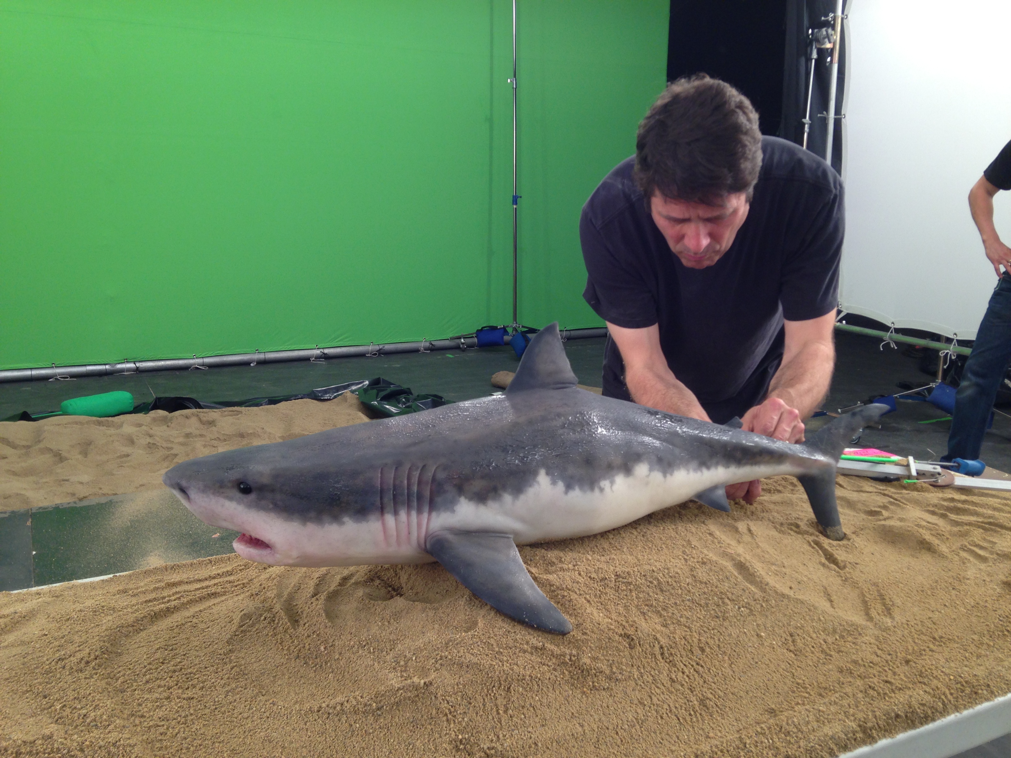 great white shark puppet