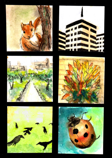 Naturaleza urbana / Jorge Rivera