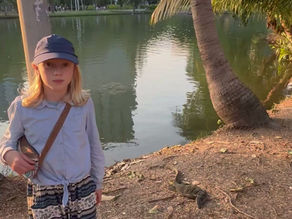 Les varans du parc Lumphini