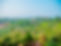 67C013A9-E6EC-4FEE-9A32-B14AEB70A611.jpeg