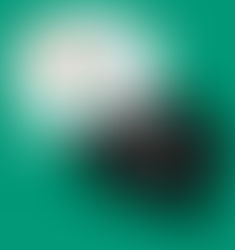 MindMint Is Looking For New Members!