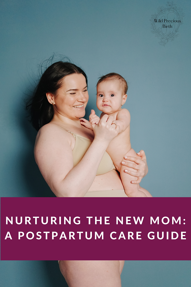 006. Nurturing The New Mom: A Postpartum Care Guide