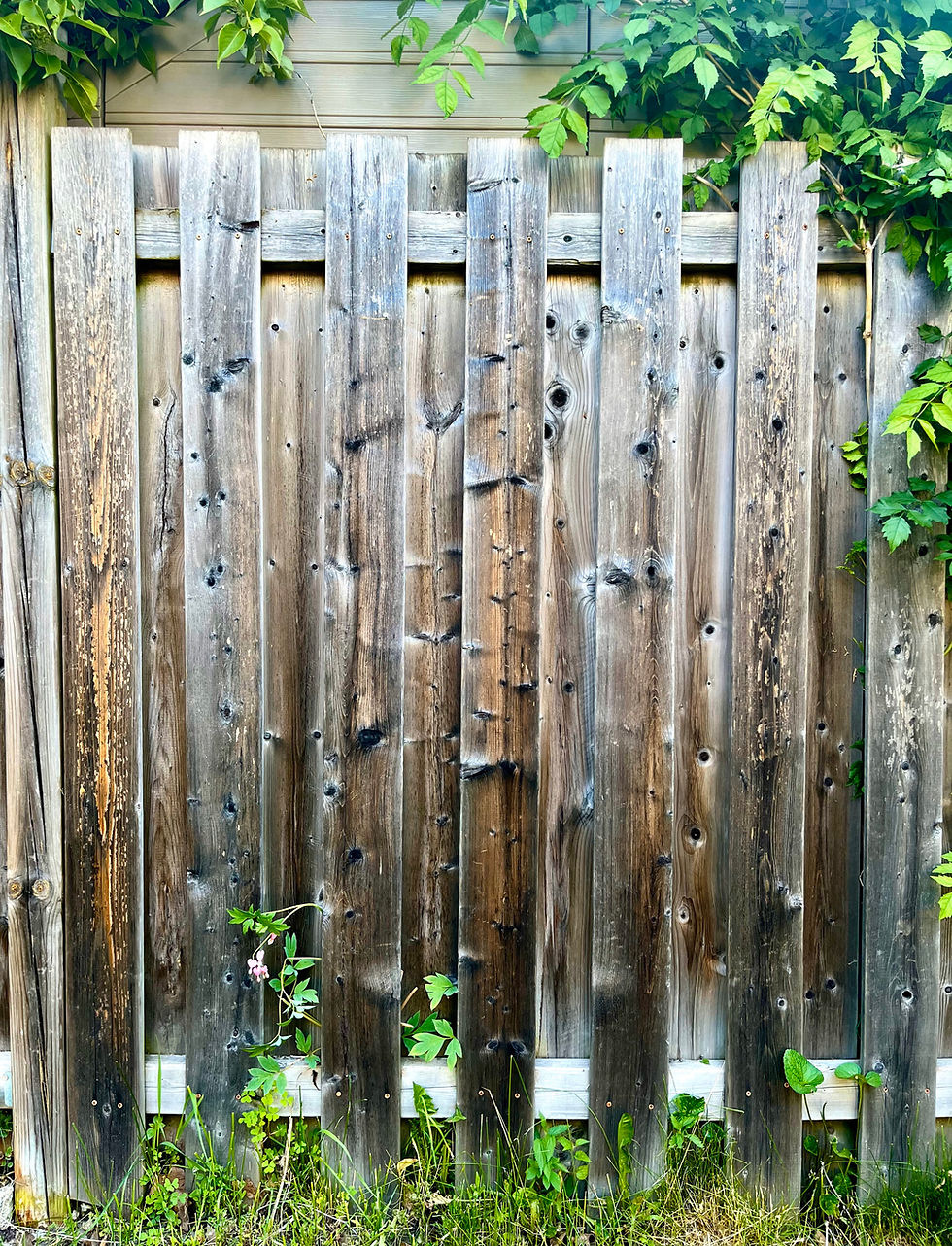 Fence 1.jpg