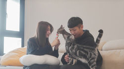 螢幕快照 2023-12-17 下午7.40.44