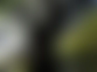 否定的な感情との付き合い方3